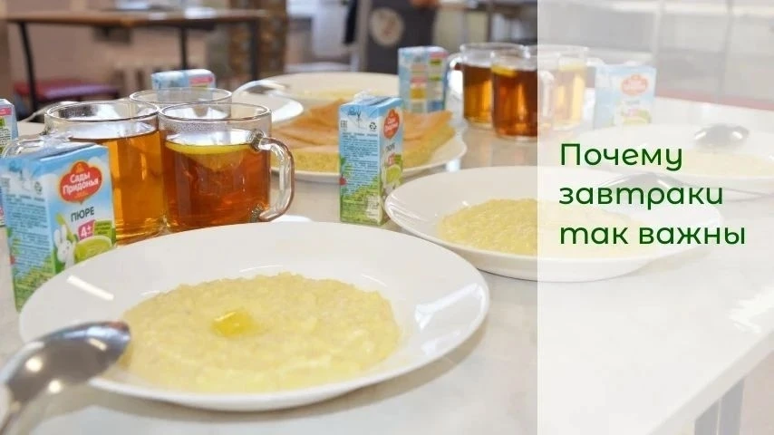 Кому положено бесплатное питание в школе и как его получить?