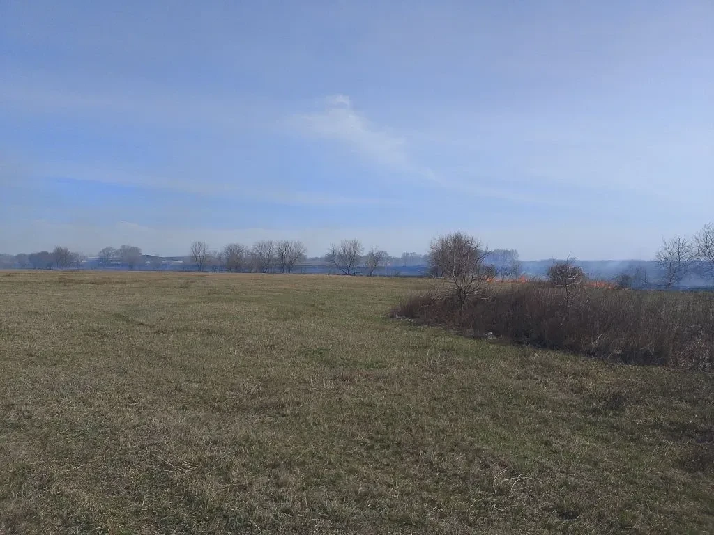 https://martvestnik.ru/sud-obyazal-arendatora-martynovskogo-rajona-ustranit-zarastanie-...