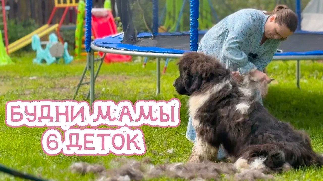 Наши летние будни без малышей, только Любава, Ваня и Рома (мой племяшка) со мной, а ост...