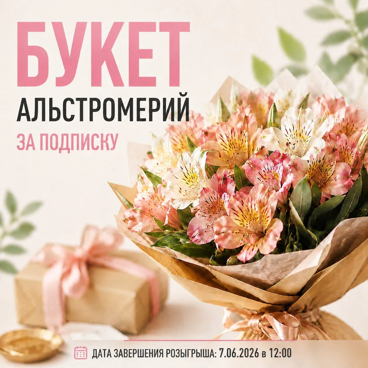 Дарим букет Альстромерий за подписку на наш канал!🌹