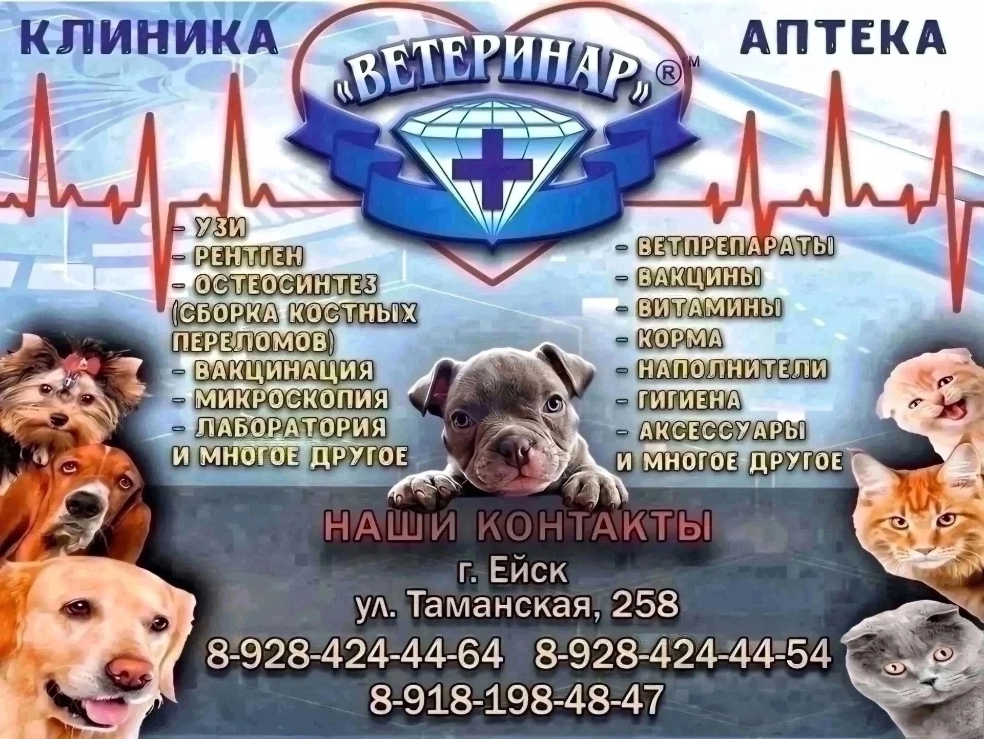 В клинике 💎 «Ветеринар» Вы можете пройти полный спектр диагностических услуг благодаря...