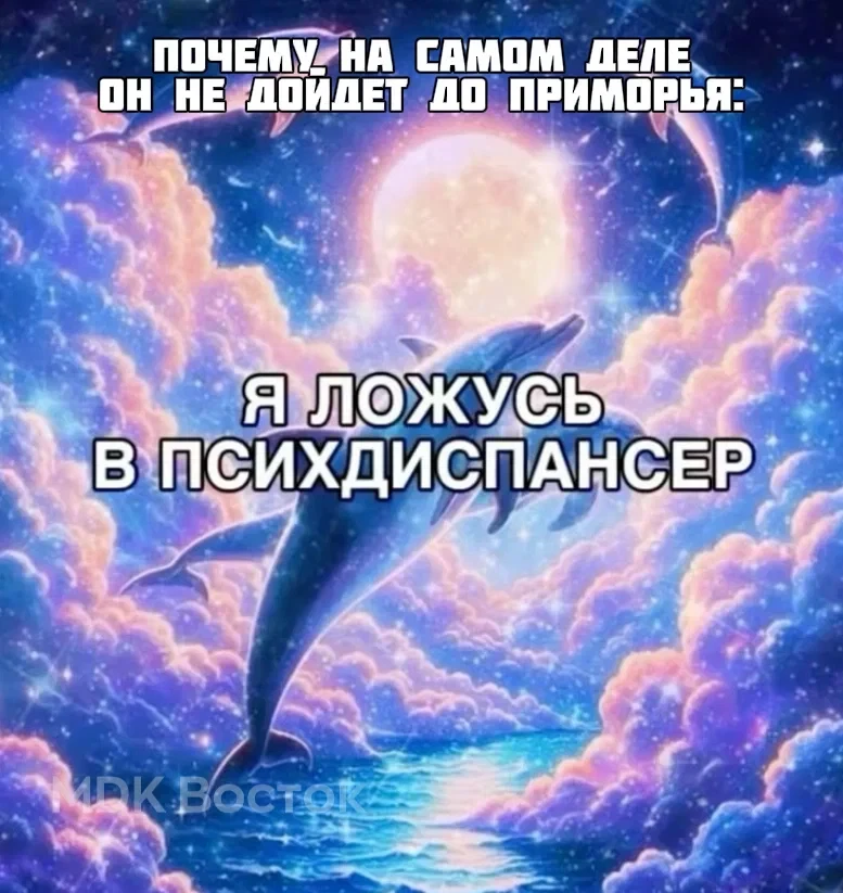 🌀 Тайфун DOLPHIN, скорее всего, не дойдёт до Приморья