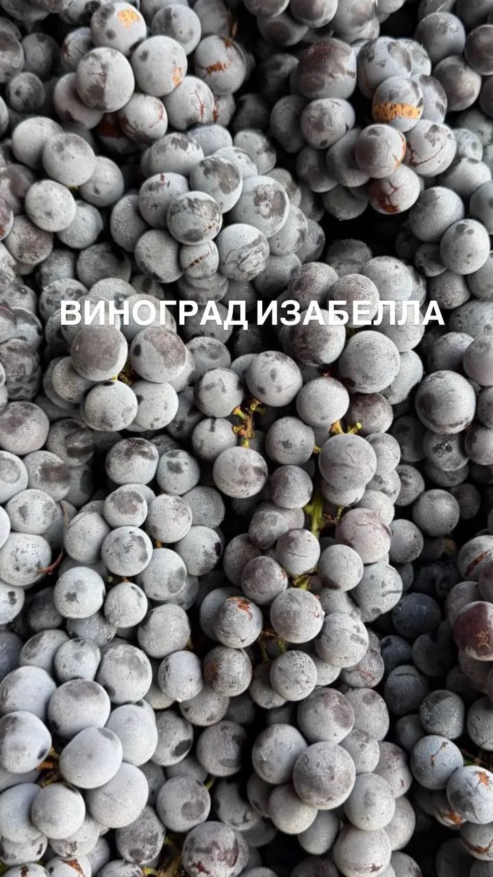 НОВИНКИ