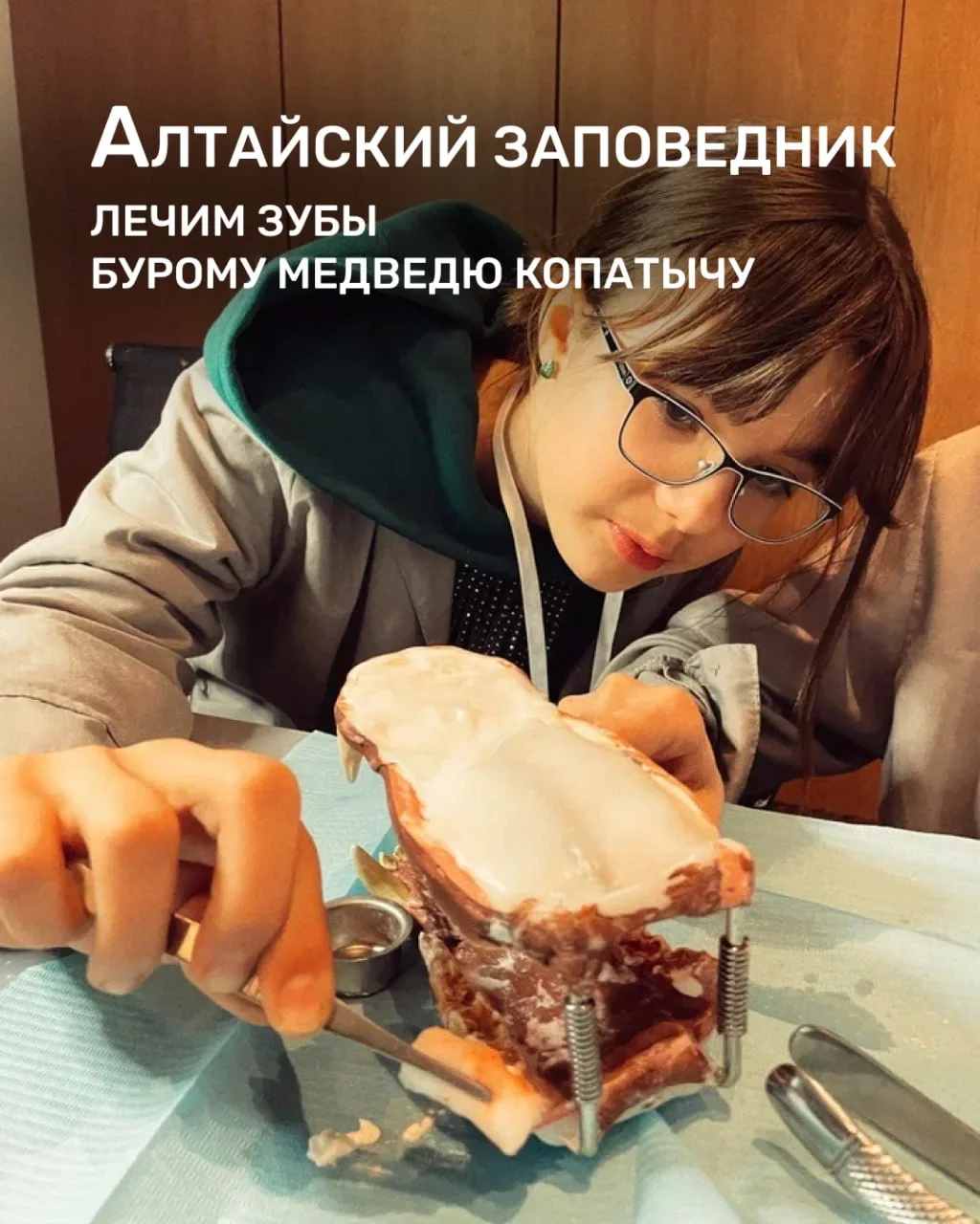 Представляем вам первую лабораторию программы «Ветеринария», которая пройдет 24 мая!