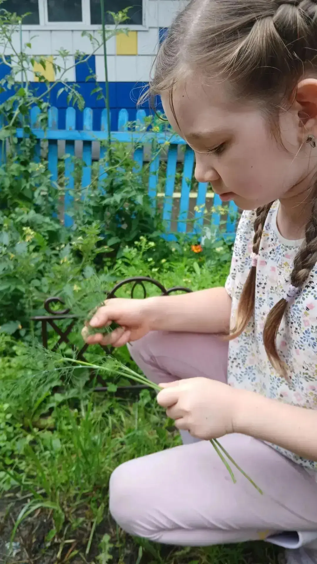 🌸В нашем детском саду № 24…