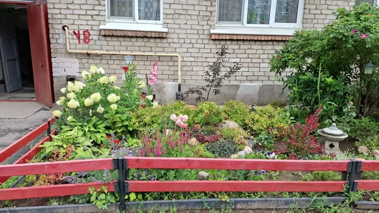 Не хотелось писать пост. Но если честно очень обидно.
Неужели лучше , что бы цветы завяли в вазе, че