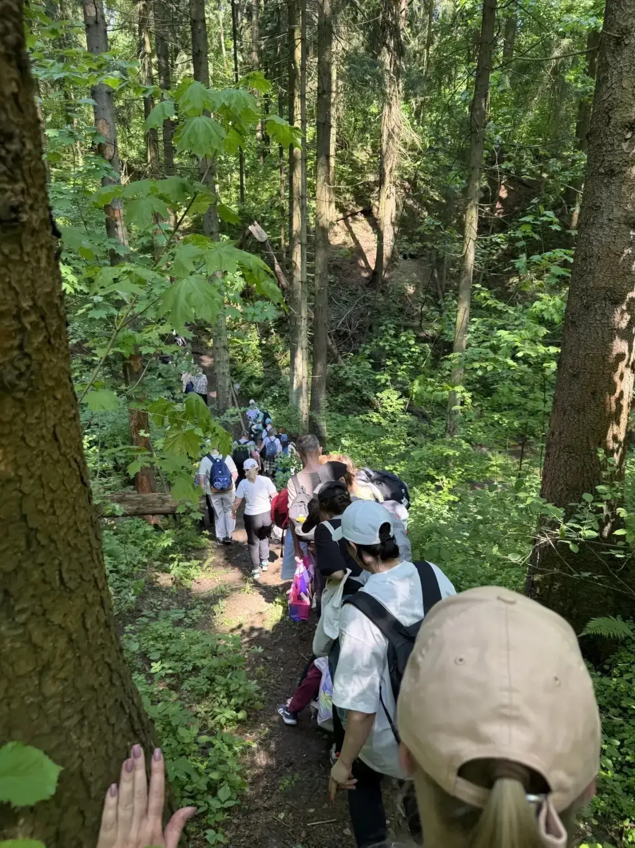 🎒🏕️ Туристический поход 2 «Г»: огонь, отвага и праздничное волшебство   🌲✨ Майским утром ученики 2 «