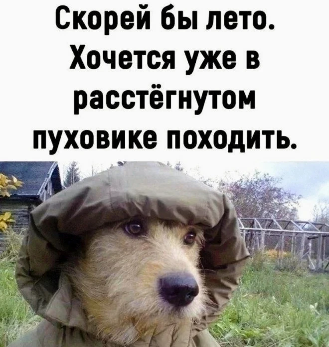 25.05.2026.  По центральной группе муниципальных образований: облачно с прояснениями, ночью мокрый с