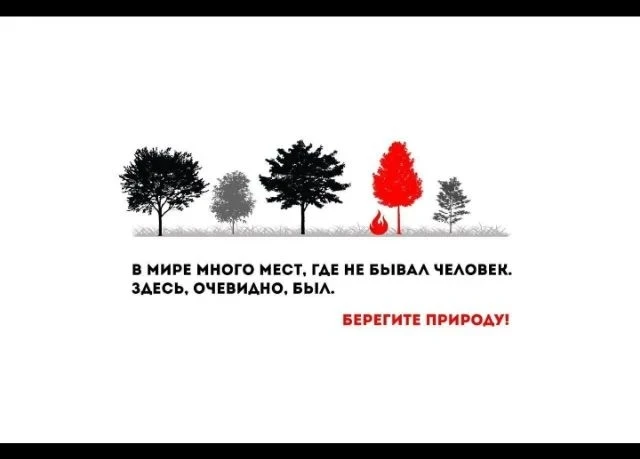 Ежегодно гектары лесов исчезают из-за беспечного отношения людей. Задумайтесь: делаете ли вы всё воз
