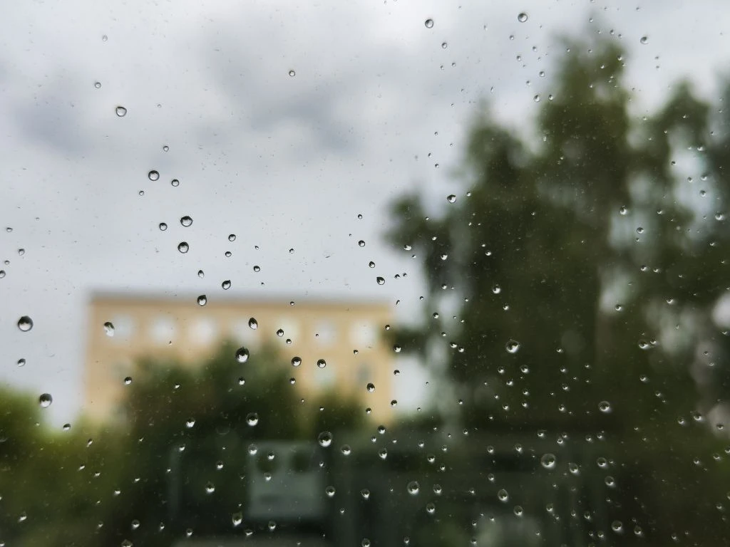 «Деньги — это хорошо, дело все в мотиве. Вот две женщины моют пол. Одна для того, чтобы...