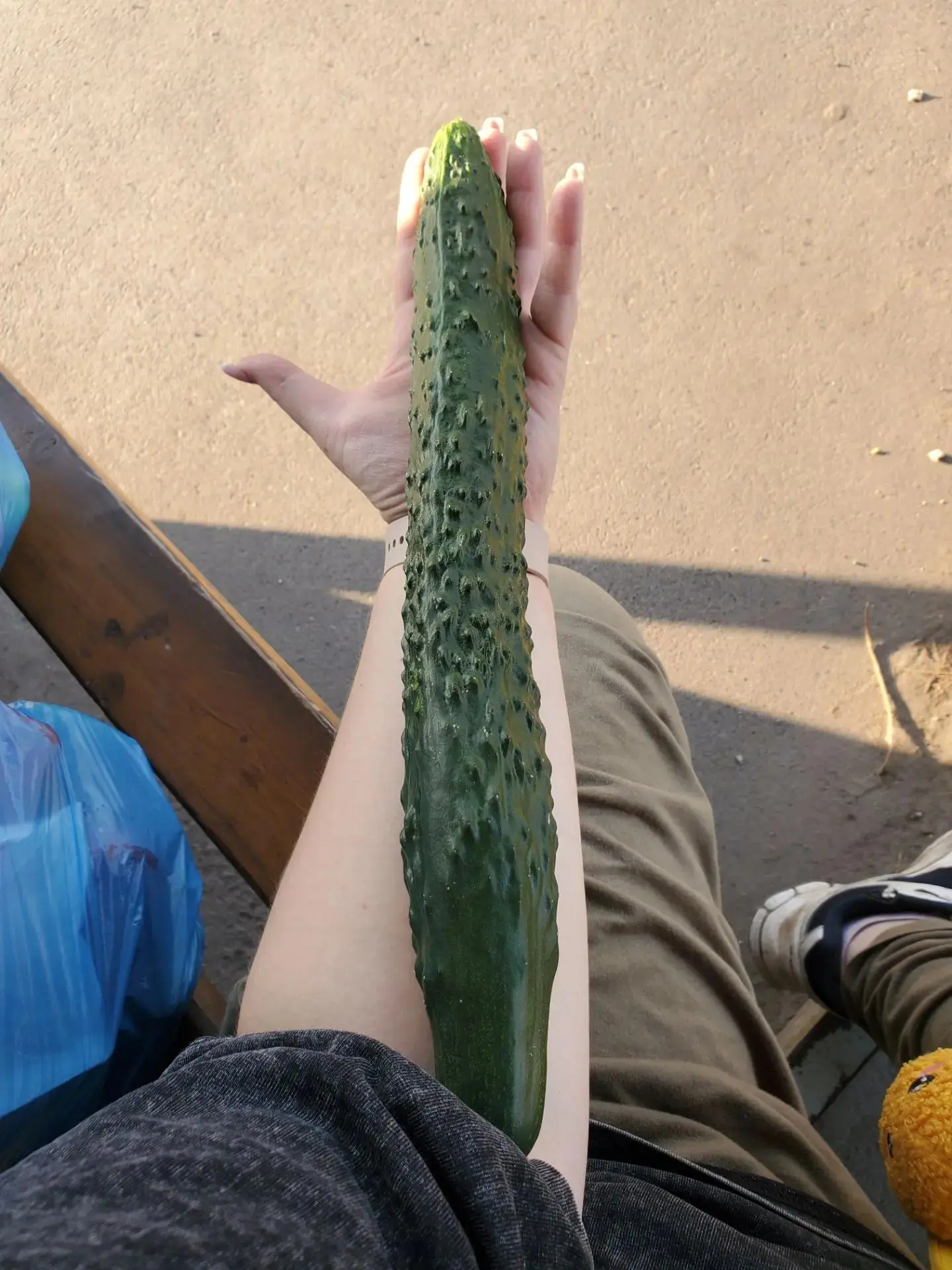 🥒 Тюменцы мерятся огурцами