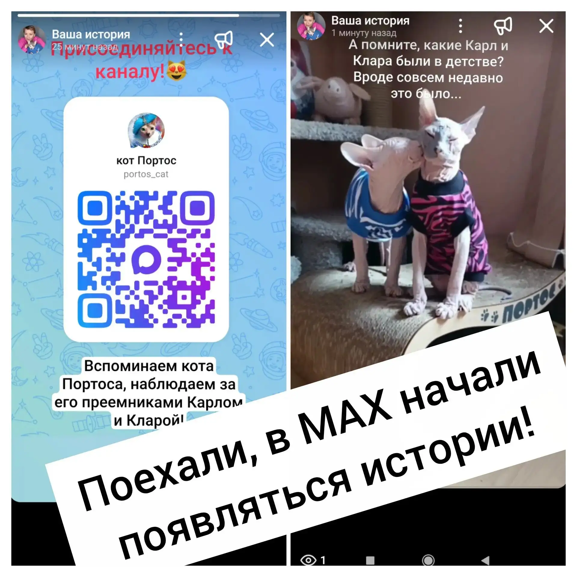 Яндекс-навигатор 😁