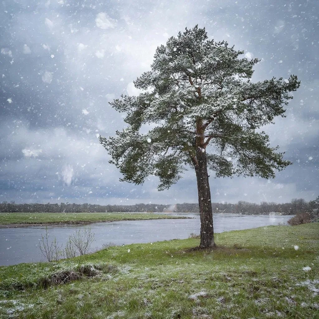 🗓 СЕГОДНЯ (7 апреля) — только раскачка. Арктический воздух пока хозяйничает в приполярных районах.  