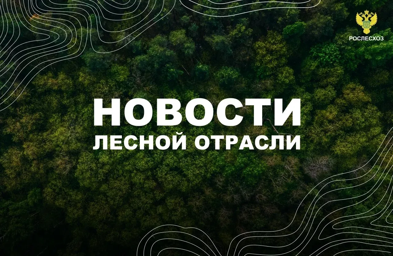 🟢 ТАСС: В Красноярском крае площадь лесных пожаров снизилась более чем на 53 тыс. га