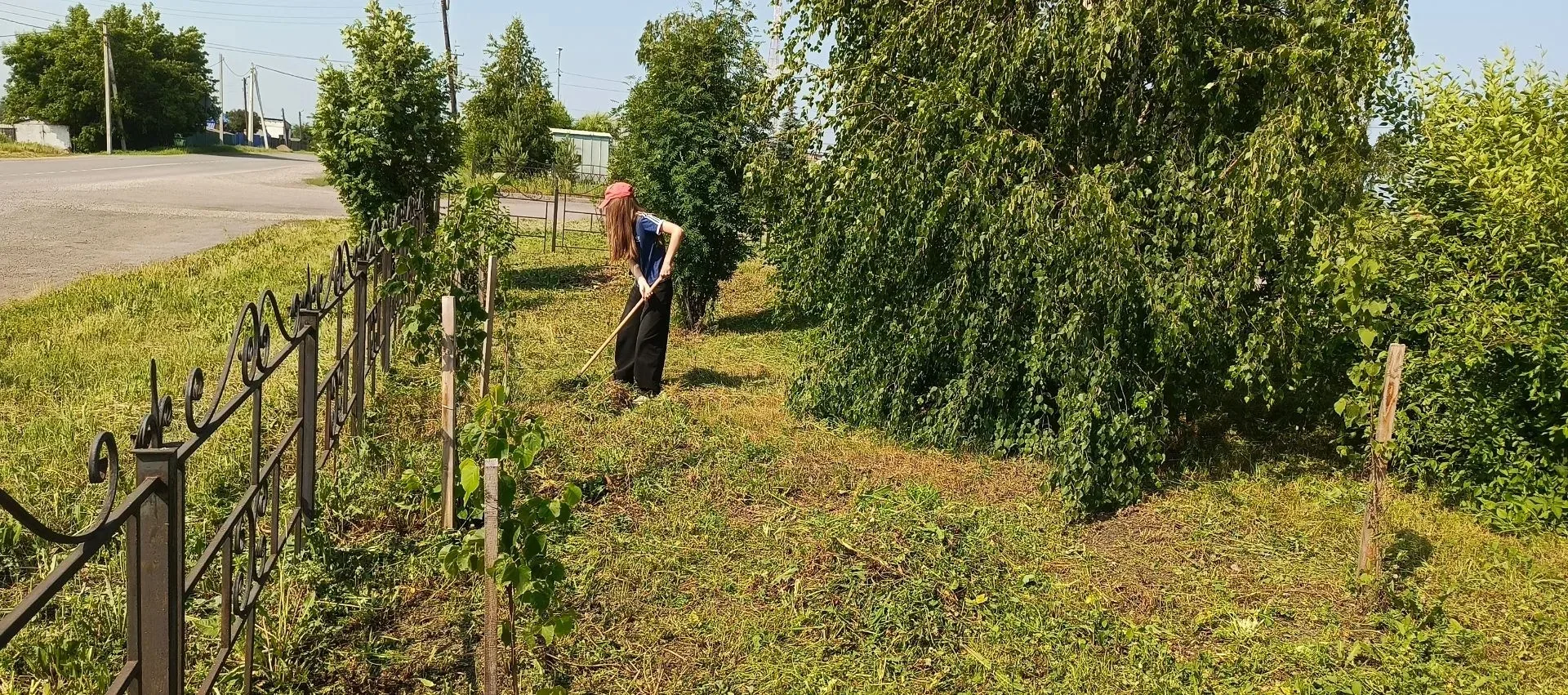 Сегодня воспитанники школьного лагеря труда и отдыха "Добрята" навели порядок на территории  памятни