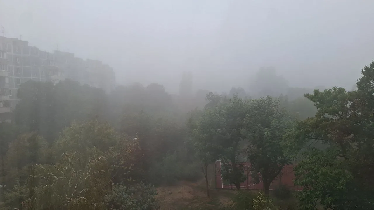 🌧️ На Кубани выходные будут дождливыми и туманными