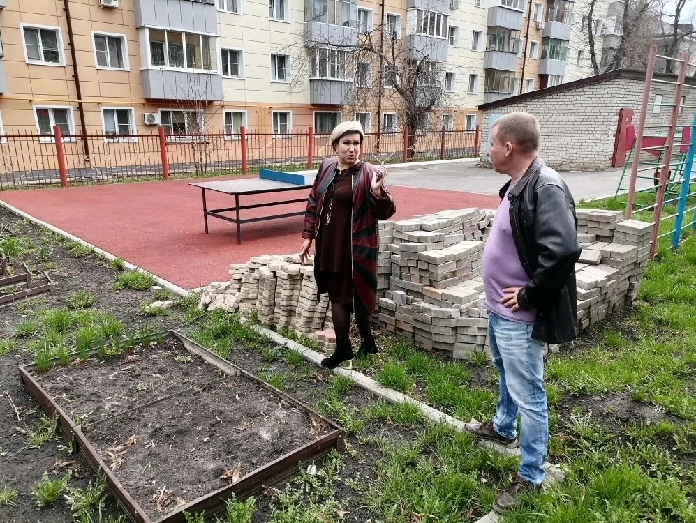 ВОТ ВАМ ГРЯДКА ДЛЯ САЛАТА,