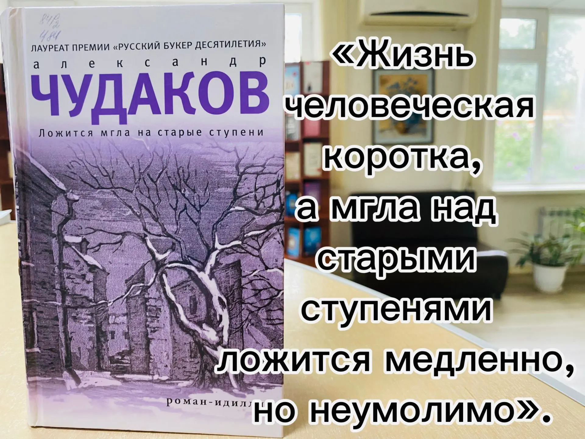 Роман Александра Чудакова «Ложится мгла на старые ступени» — это пронзительная автобиог...