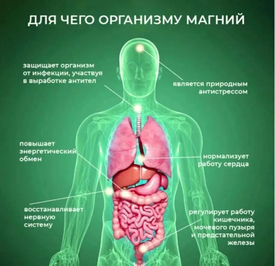 Магний — это наша базовая "таблетка от стресса". Он участвует более чем в 300 процессах...
