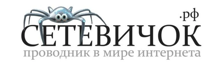 Что такое «Сетевичок»