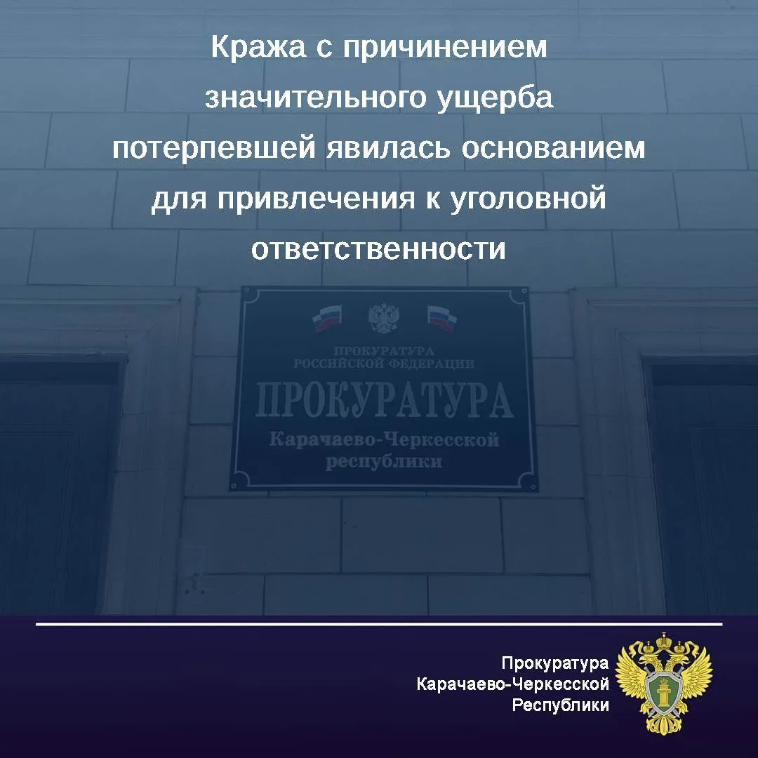 ⚡️Кража с причинением значительного ущерба потерпевшей явилась основанием для привлечения к уголовно