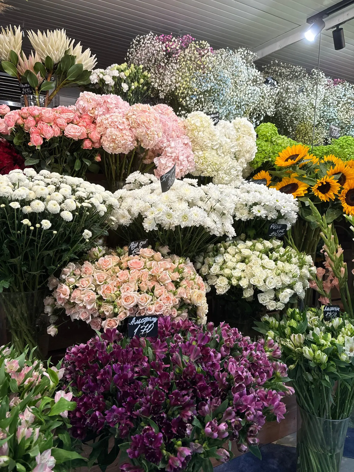 Выбор, от которого кружится голова😍
