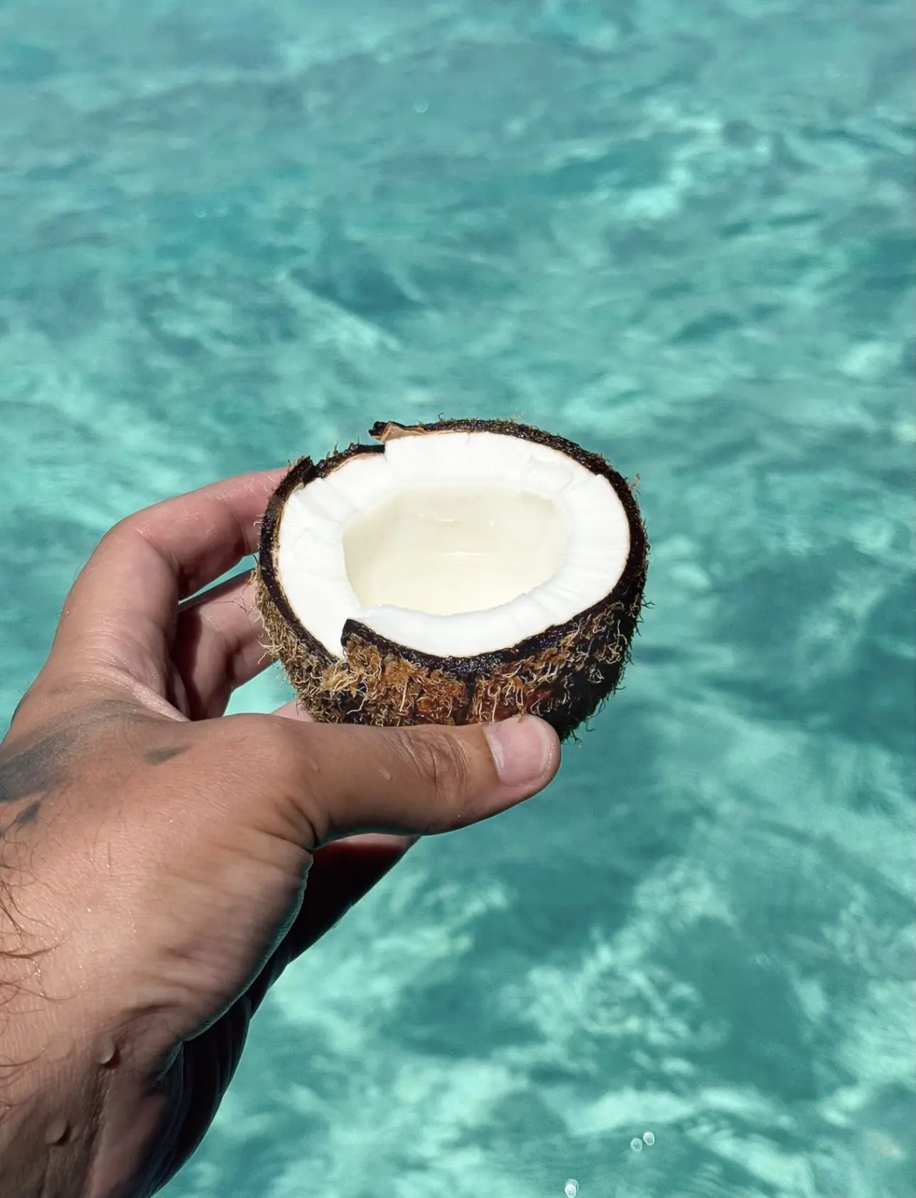 🏝️Летим подальше и на подольше!