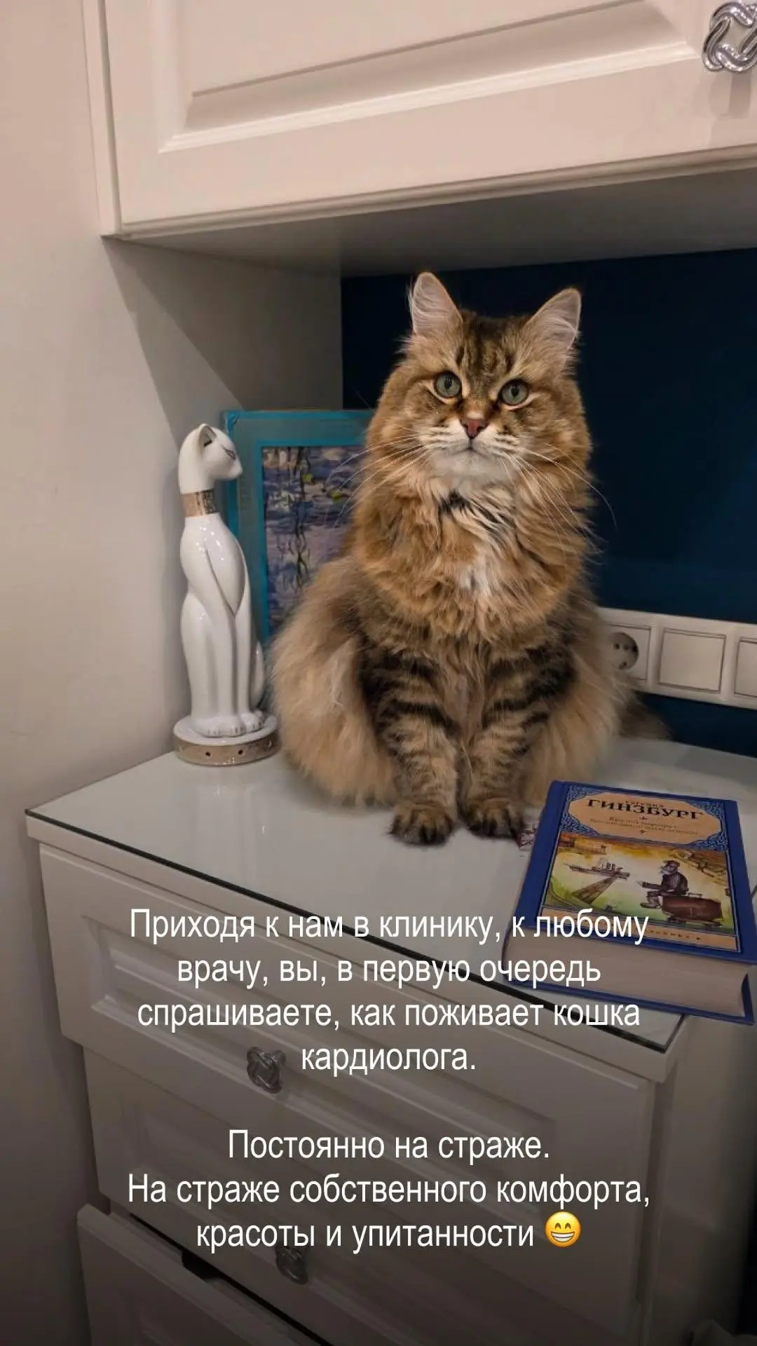 Минизаметочки к вечернему кефиру😁