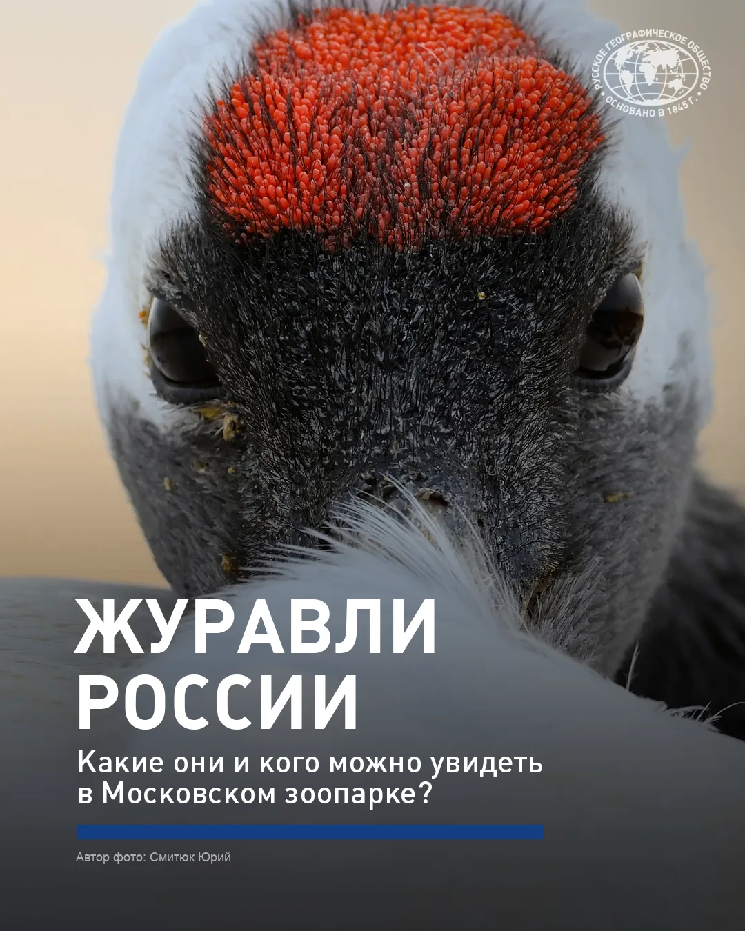🦖🪽Эти птицы появились на планете еще во времена динозавров.