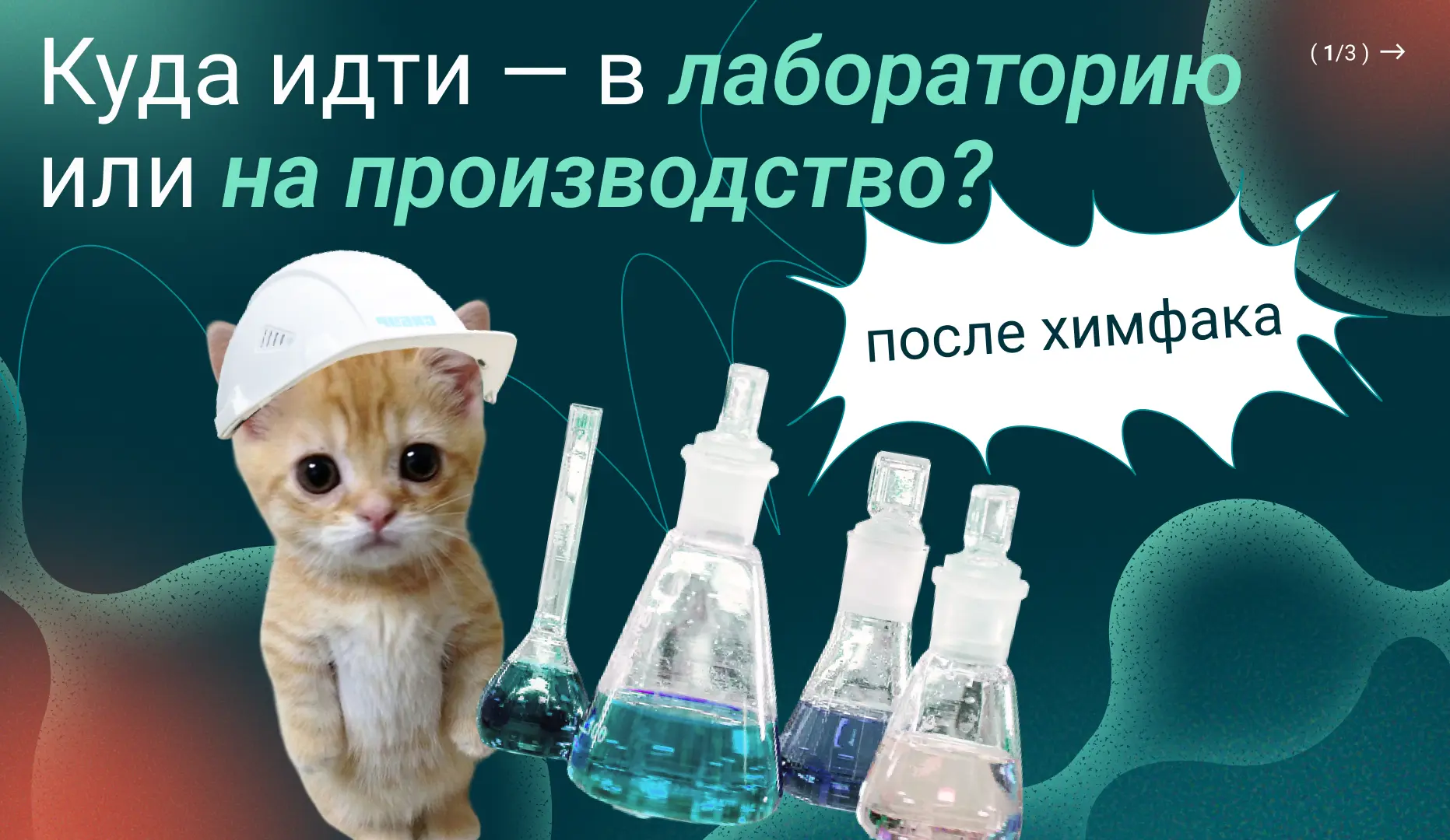 POV: ты выпускник химфака, куда идти — в лабораторию или на производство?