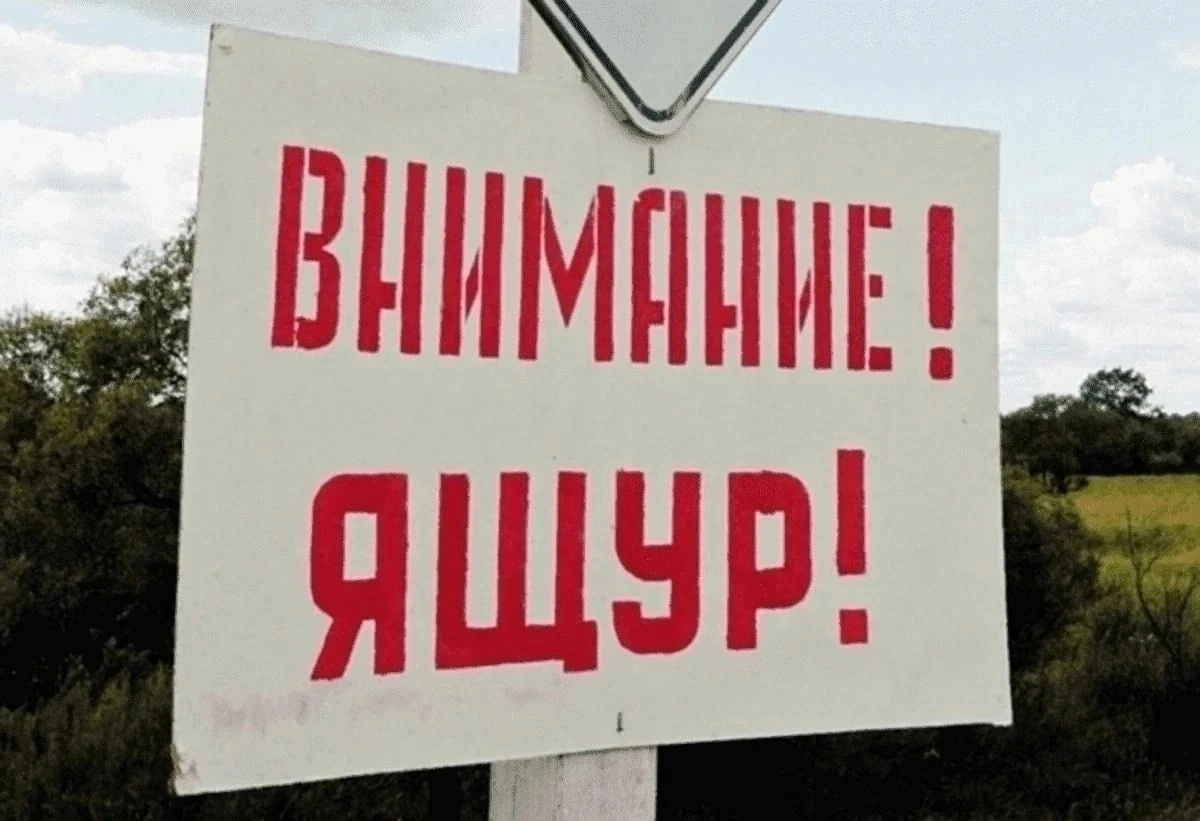⚠️Ящур ⚠️— острое вирусное заболевание, характеризующееся интоксикацией и везикулезно-э...