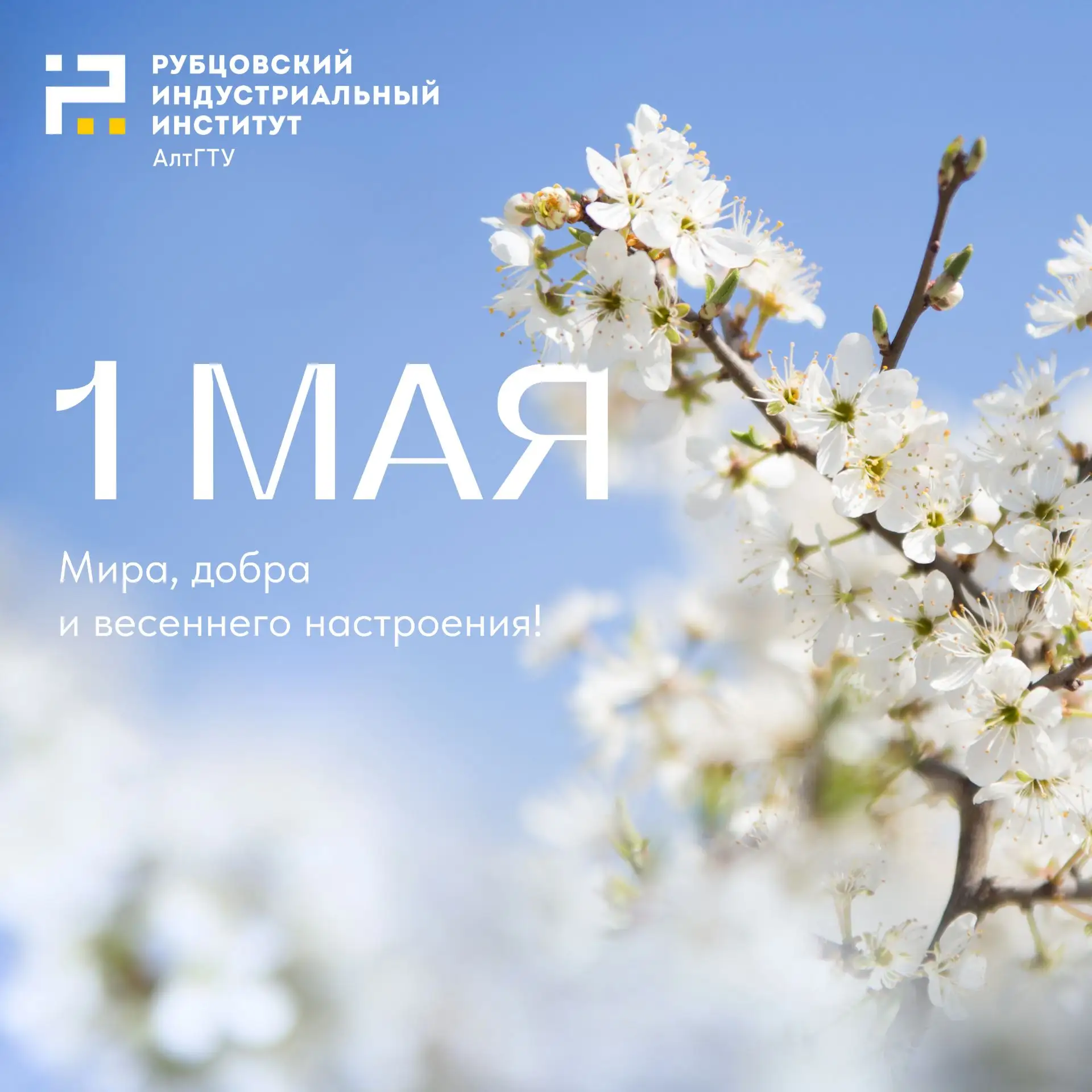 Поздравление директора РИИ АлтГТУ с праздником весны и труда!