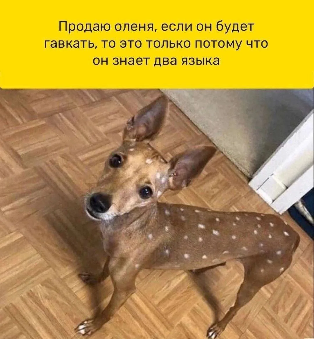 ))))))))))