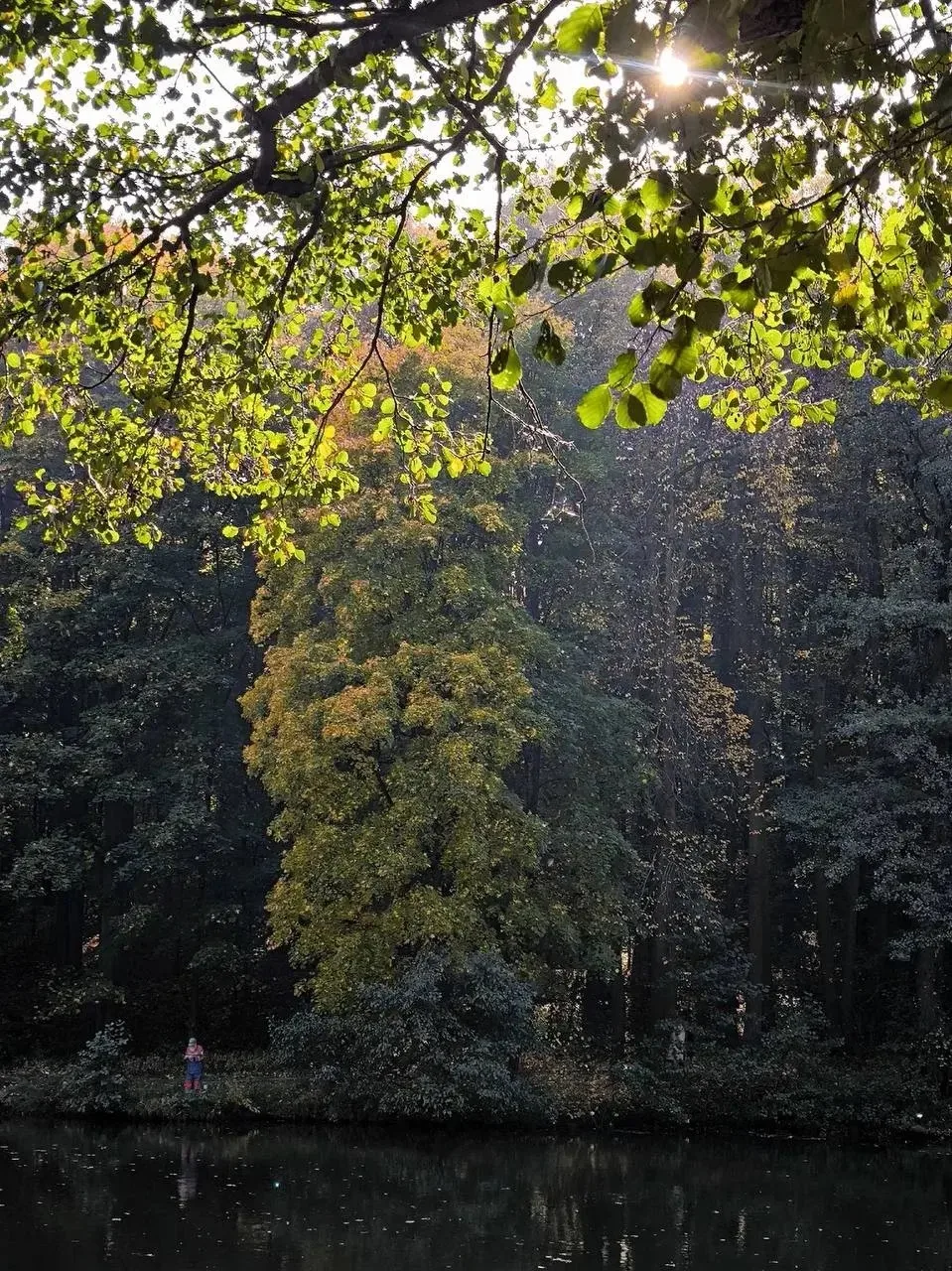 Осень в Царицыно 🍂