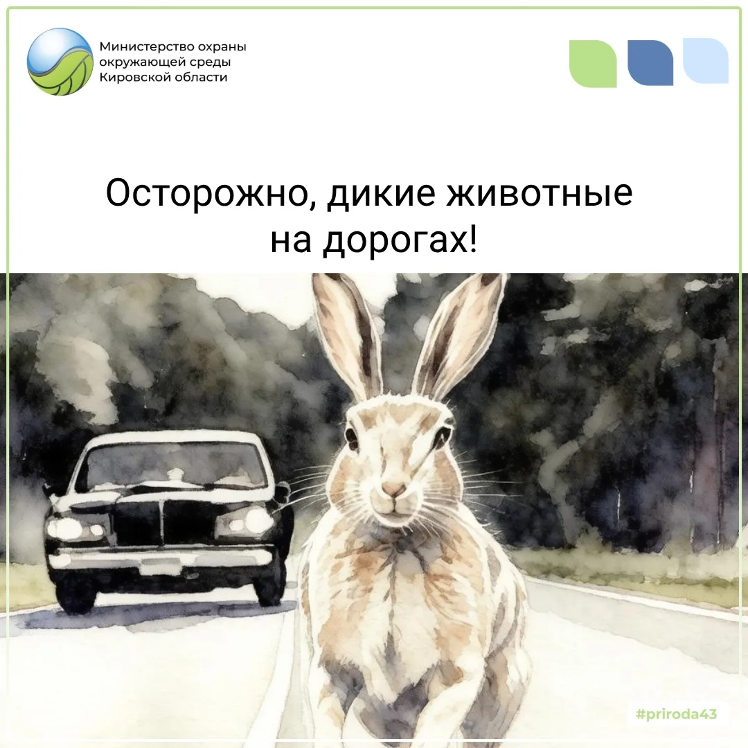 За апрель в регионе зарегистрировано 8 дорожно-транспортных происшествий: 7 с участием ...