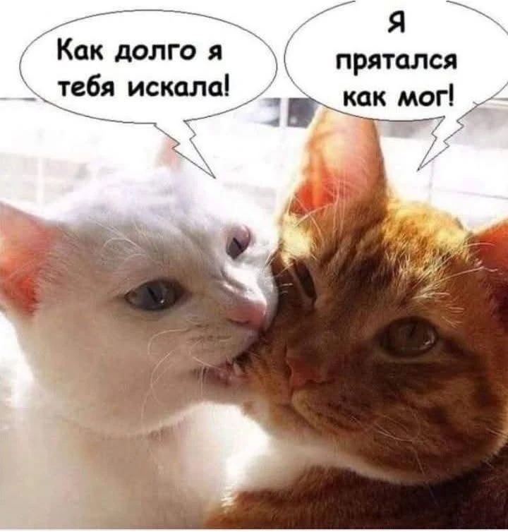 Не вышло 😀