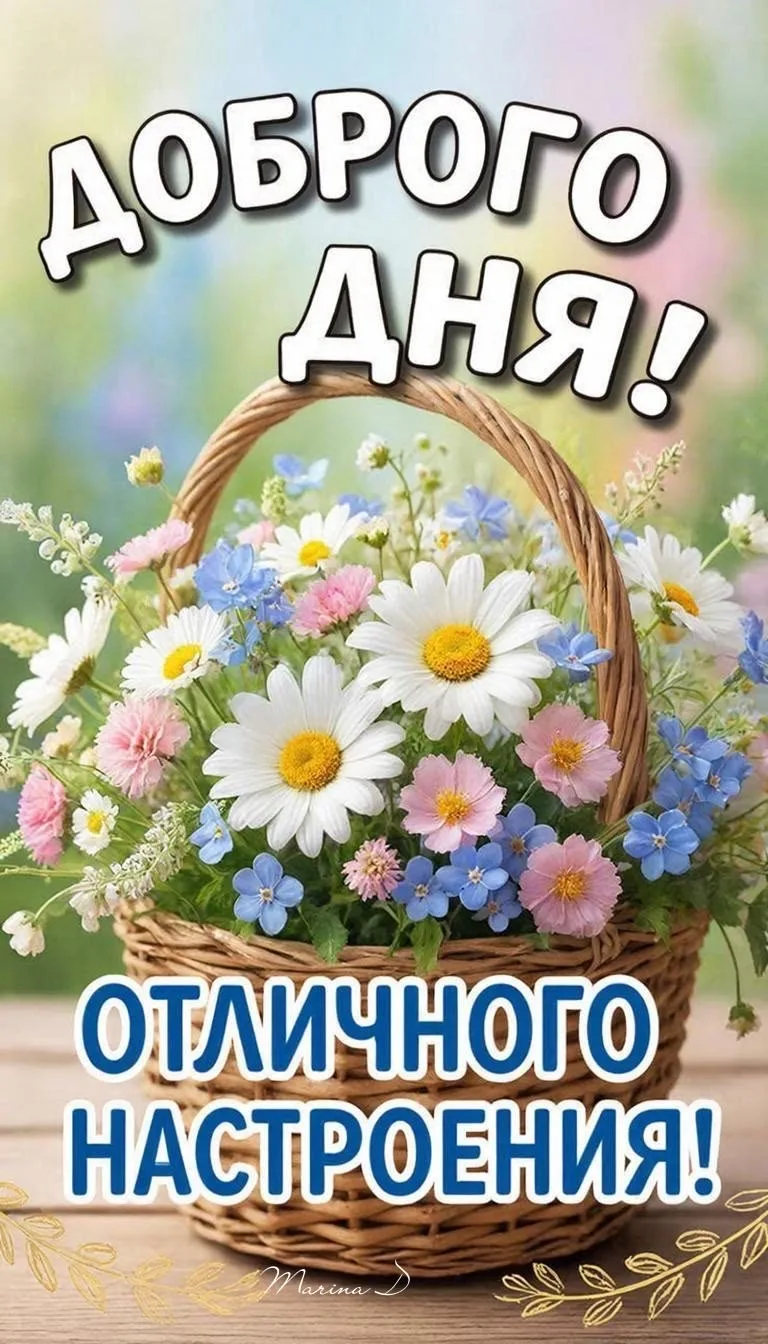 ✨Мир открыток 
👉Подписаться