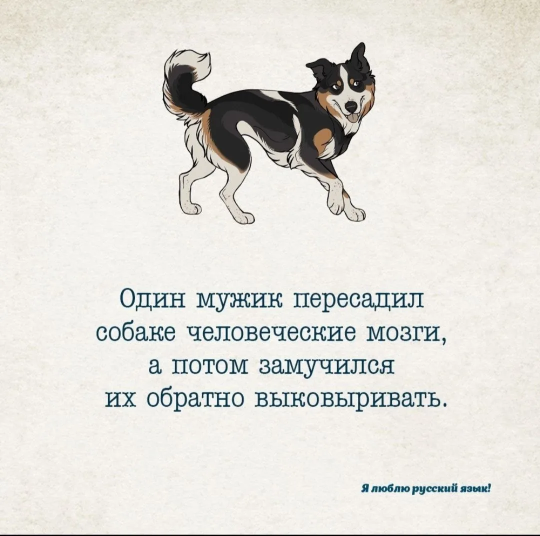 Угадайте произведение)