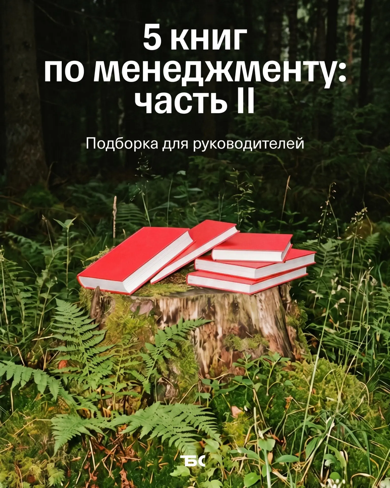 📚 5 книг по менеджменту, которые стоит прочитать руководителю