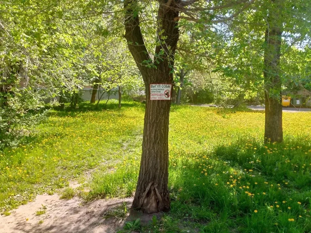Ул. Либединского, дом 37.