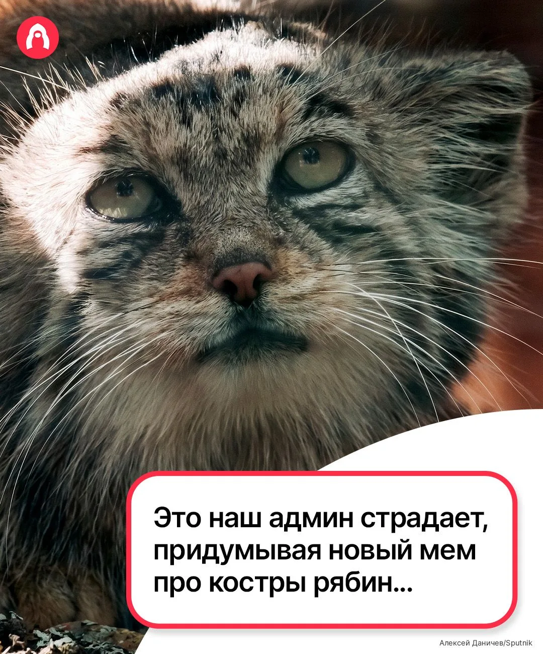 Я календаааарь...