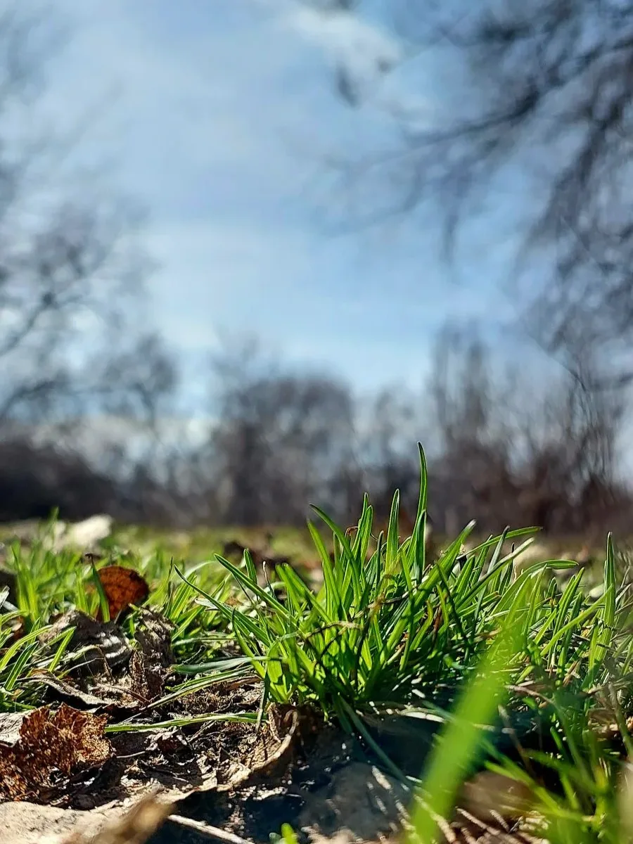 🌷Началась новая рабочая неделя.