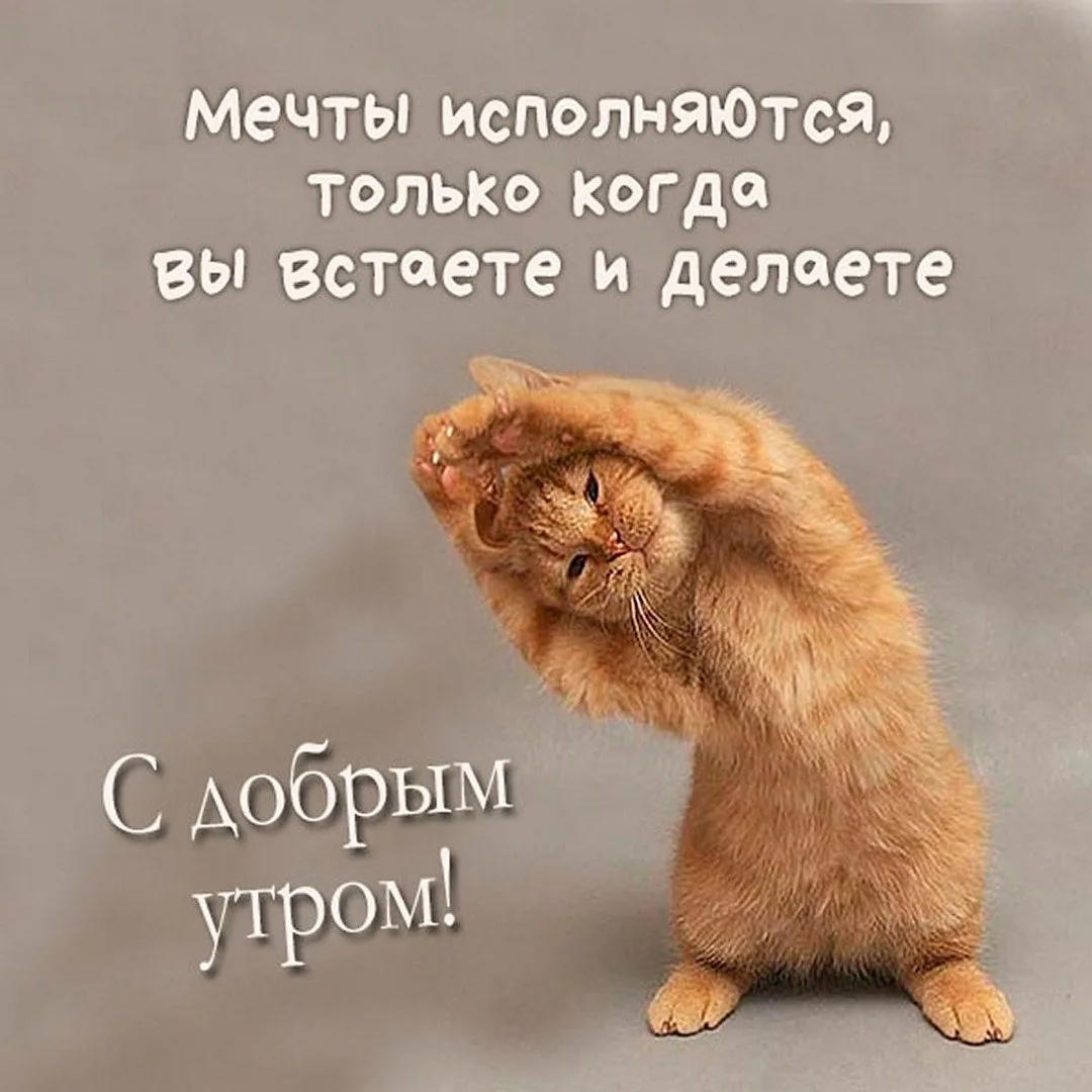 Список качественных каналов в МАХ | Подпишись!❤️