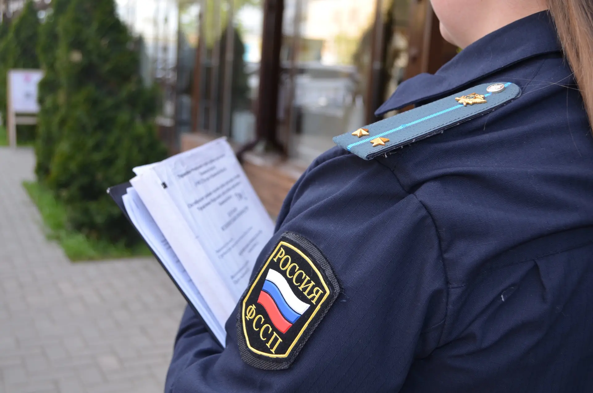 👮‍Судебные приставы Ивановской области добились восстановления четверти гектара леса
