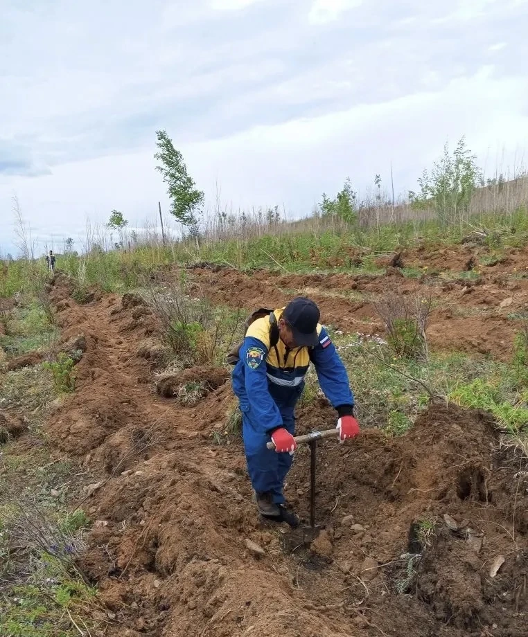 В Забайкальском крае в рамках регионального проекта «Сохранение лесов» национального проекта «Эколог