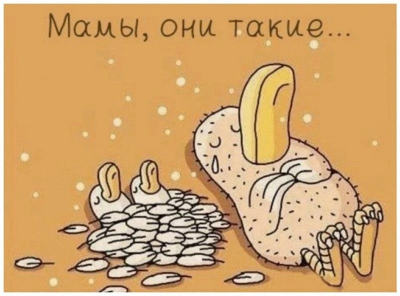 30 ноября – День МАТЕРИ!🙏