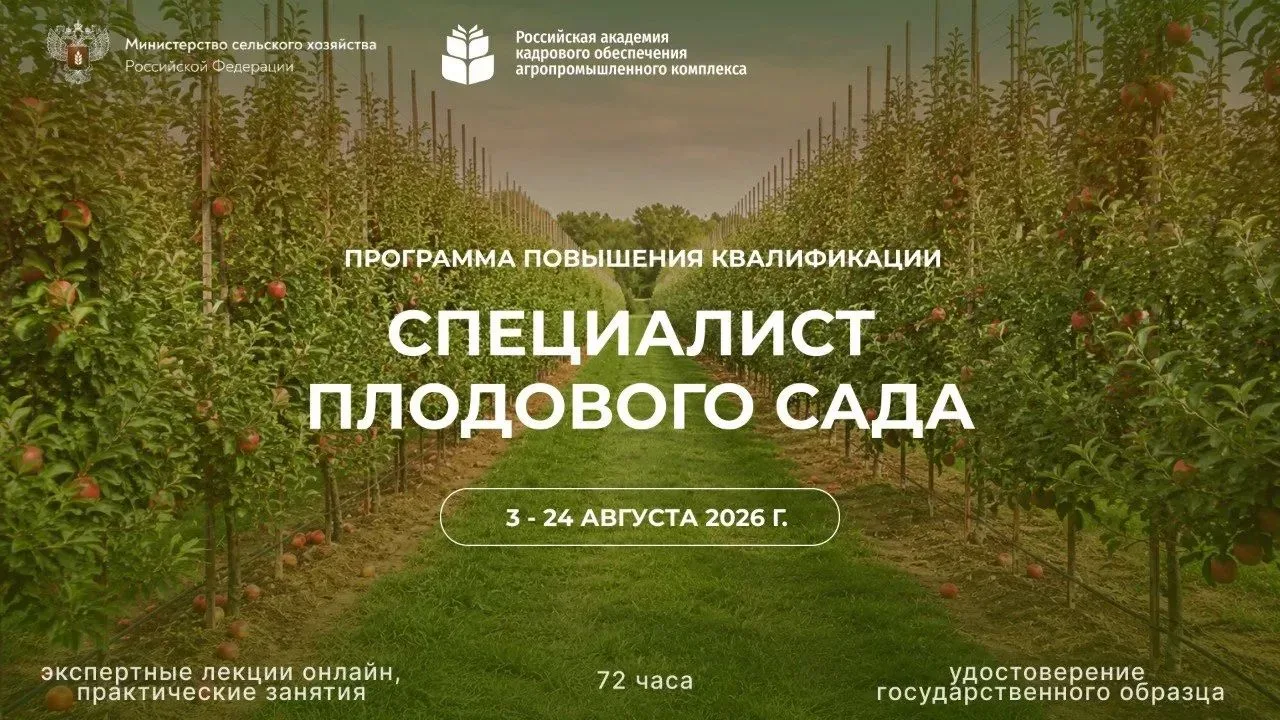 🚀 СТАРТ ОБУЧЕНИЯ СОСТОЯЛСЯ!

В понедельник, 3 августа, более 60 слушателей приступили к освоению пр