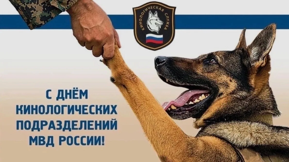 🐕 ВЕРНЫЕ НАПАРНИКИ НА СТРАЖЕ ПОРЯДКА! 

Волонтёры Победы Сюмсинского района поздравляют сотрудников