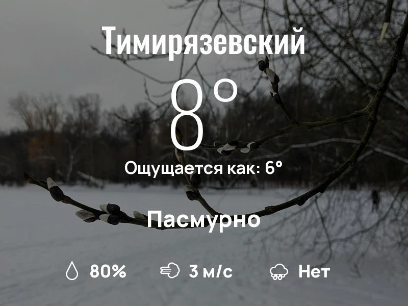 Что с погодой в Тимирязевском?