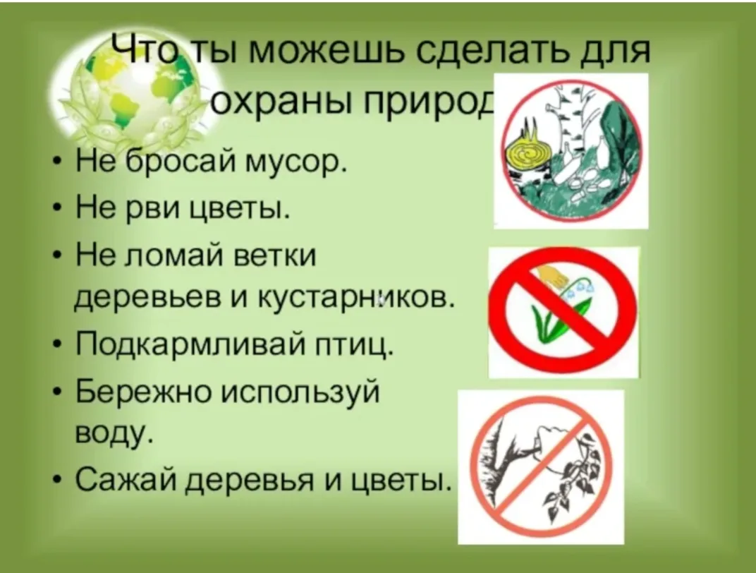 Почему важно заботиться о природе